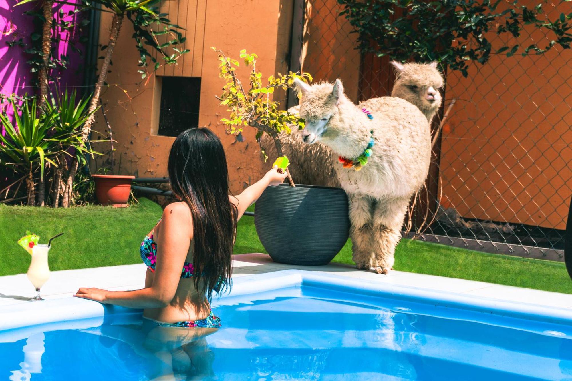 Hotels Collect Adriana Monet Arequipa Eksteriør billede